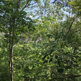 Review photo of Fall Creek Falls State Park Campground by Brittni F., July 1, 2020