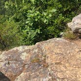 Review photo of Fall Creek Falls State Park Campground by Brittni F., July 1, 2020