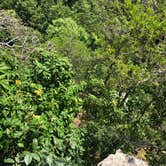 Review photo of Fall Creek Falls State Park Campground by Brittni F., July 1, 2020