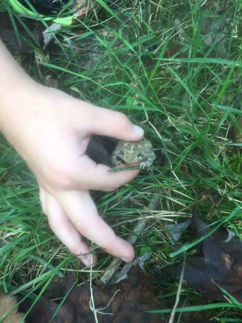 Camper-submitted photo at Punderson State Park Campground near Beachwood, OH