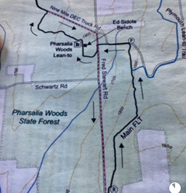 Camper submitted image from Pharsalia Woods Lean-To Campsite - 4