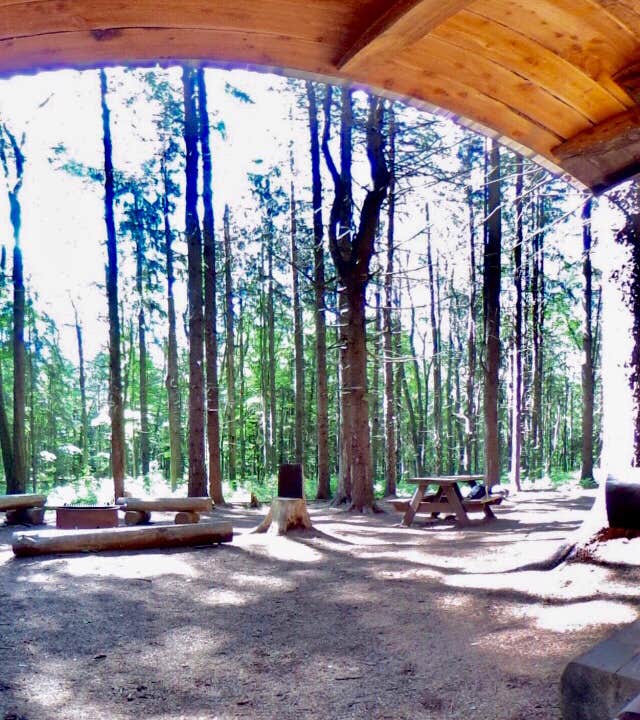 Camper-submitted photo at Pharsalia Woods Lean-To Campsite near West Edmeston, NY