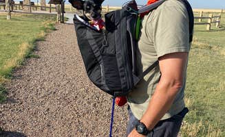 Shannon G.'s photo of camping with pets at Elm Grove — Historic Lake Scott State Park near Garden City, KS