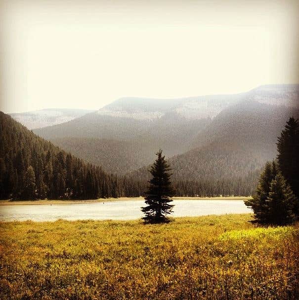 Camper-submitted photo at Crystal Lake Cabin near Lewistown, MT