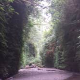 Review photo of Gold Bluffs Beach Campground — Prairie Creek Redwoods State Park by PATRICK S., July 2, 2016