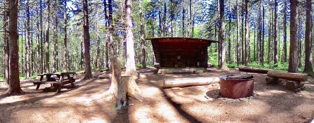 Camper-submitted photo at Pharsalia Woods Lean-To Campsite near West Edmeston, NY
