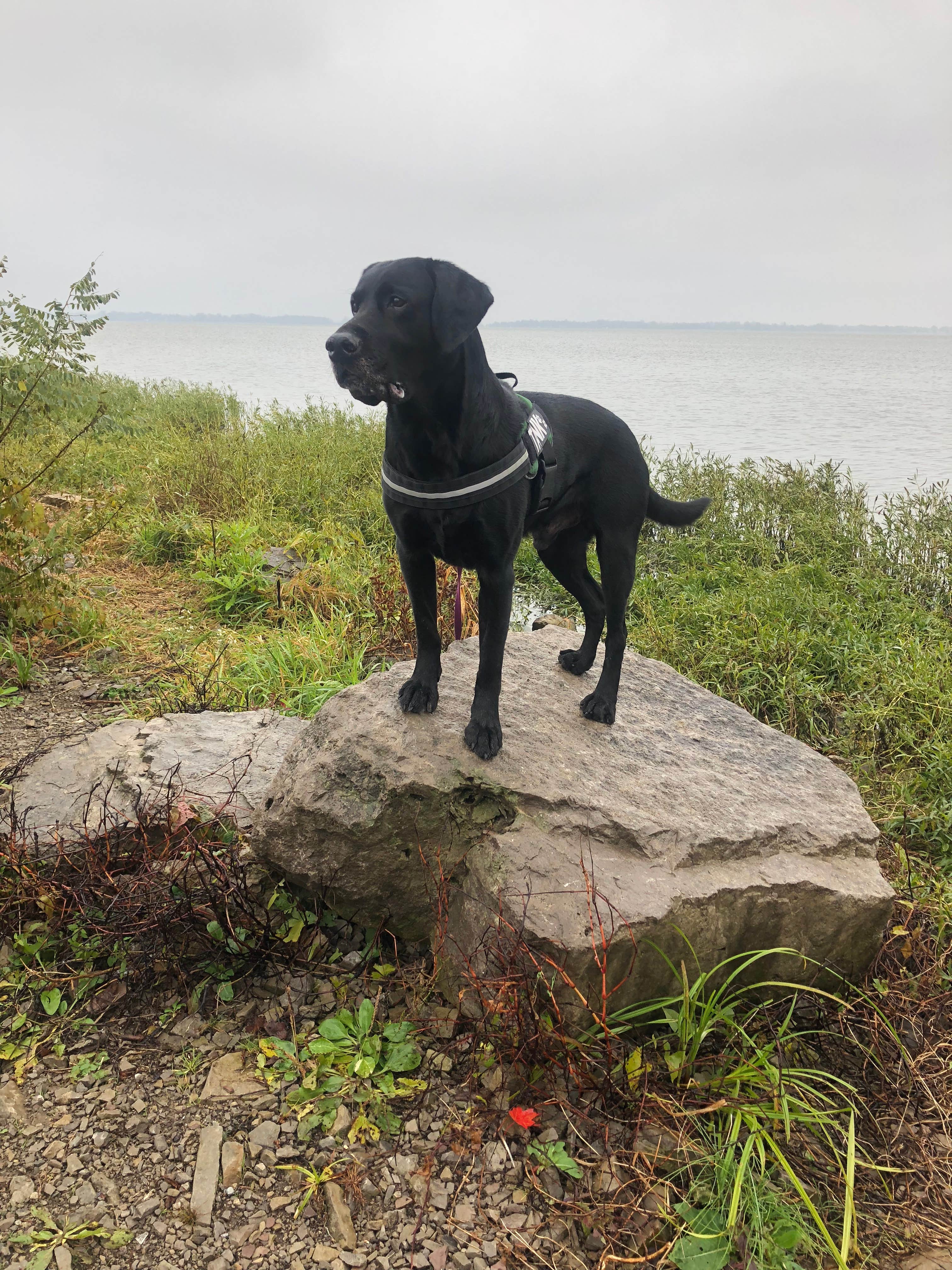 Camper-submitted photo at Indian Lake State Park Campground near Celina, OH