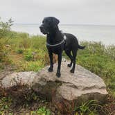 Review photo of Indian Lake State Park Campground by Andrea F., June 20, 2020