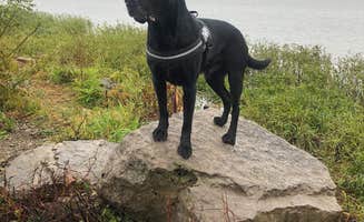 Andrea F.'s photo of camping with pets at Indian Lake State Park Campground near New Bremen, OH