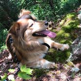 Review photo of Fall Creek Falls State Park Campground by Brittni F., July 1, 2020