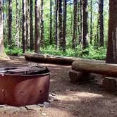 Review photo of Pharsalia Woods Lean-To Campsite by Janet R., November 6, 2017