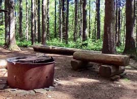 Camper submitted image from Pharsalia Woods Lean-To Campsite - 1