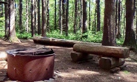 Pharsalia Woods Lean-To Campsite