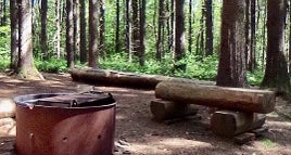Pharsalia Woods Lean-To Campsite
