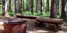 Camper submitted image from Pharsalia Woods Lean-To Campsite