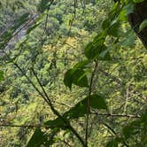 Review photo of Fall Creek Falls State Park Campground by Brittni F., July 1, 2020