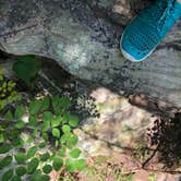 Review photo of Fall Creek Falls State Park Campground by Brittni F., July 1, 2020