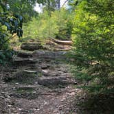 Review photo of Fall Creek Falls State Park Campground by Brittni F., July 1, 2020