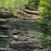 Review photo of Fall Creek Falls State Park Campground by Brittni F., July 1, 2020