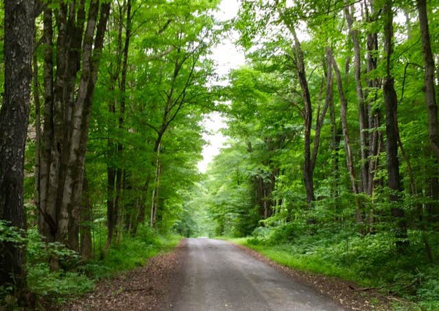 Camper submitted image from Jackson Pond Tent Sites - 4