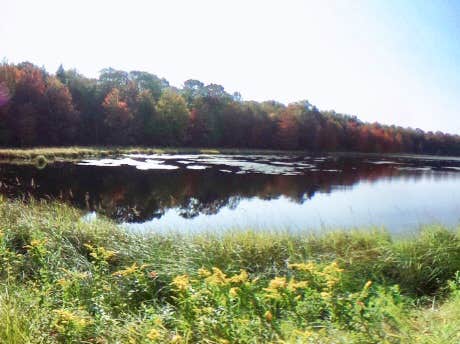 Camper-submitted photo at Jackson Pond Tent Sites near Marietta, NY