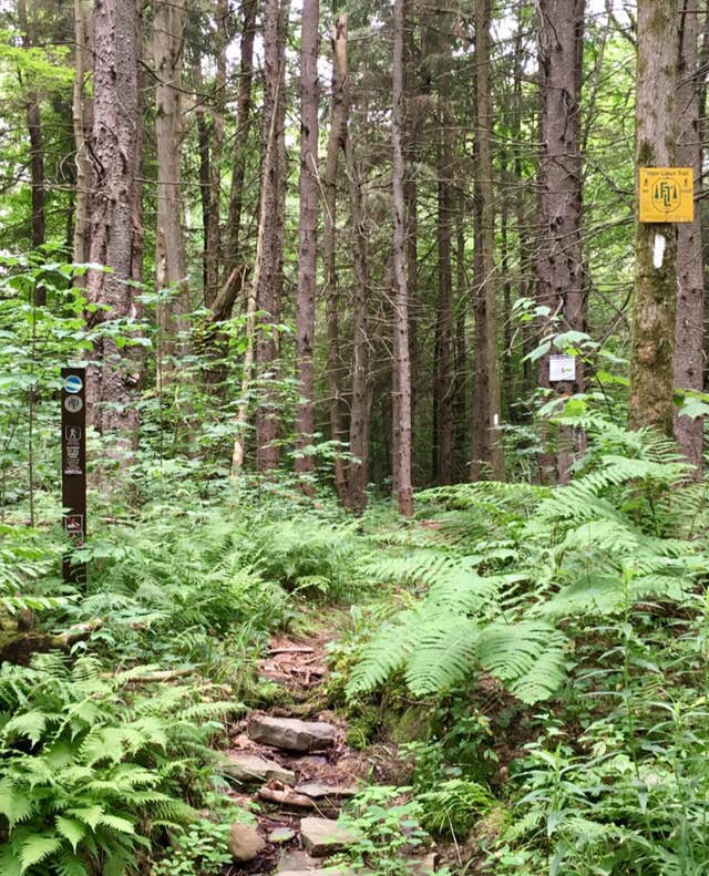 Camper-submitted photo at Jackson Pond Tent Sites near Marietta, NY