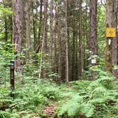 Review photo of Jackson Pond Tent Sites by Janet R., November 6, 2017