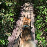 Review photo of Foster Falls Campground — South Cumberland State Park by Brittni F., July 1, 2020