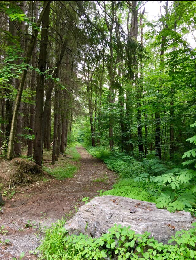 Camper-submitted photo at Jackson Pond Tent Sites near Marietta, NY
