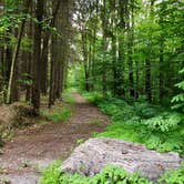 Review photo of Jackson Pond Tent Sites by Janet R., November 6, 2017