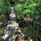 Review photo of Foster Falls Campground — South Cumberland State Park by Brittni F., July 1, 2020