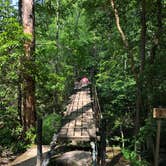 Review photo of Foster Falls Campground — South Cumberland State Park by Brittni F., July 1, 2020