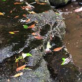 Review photo of Foster Falls Campground — South Cumberland State Park by Brittni F., July 1, 2020