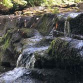 Review photo of Foster Falls Campground — South Cumberland State Park by Brittni F., July 1, 2020