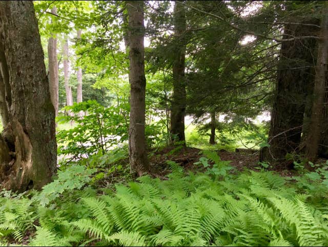 Camper-submitted photo at Jackson Pond Tent Sites near Marietta, NY
