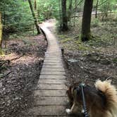 Review photo of Foster Falls Campground — South Cumberland State Park by Brittni F., July 1, 2020