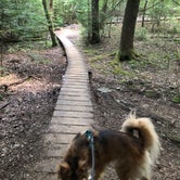 Review photo of Foster Falls Campground — South Cumberland State Park by Brittni F., July 1, 2020