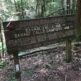 Review photo of Foster Falls Campground — South Cumberland State Park by Brittni F., July 1, 2020