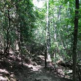 Review photo of Foster Falls Campground — South Cumberland State Park by Brittni F., July 1, 2020