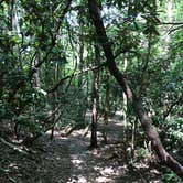 Review photo of Foster Falls Campground — South Cumberland State Park by Brittni F., July 1, 2020