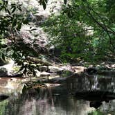 Review photo of Foster Falls Campground — South Cumberland State Park by Brittni F., July 1, 2020