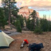 Review photo of Yovimpa Pass Campsite — Bryce Canyon National Park by Jason R., November 7, 2017