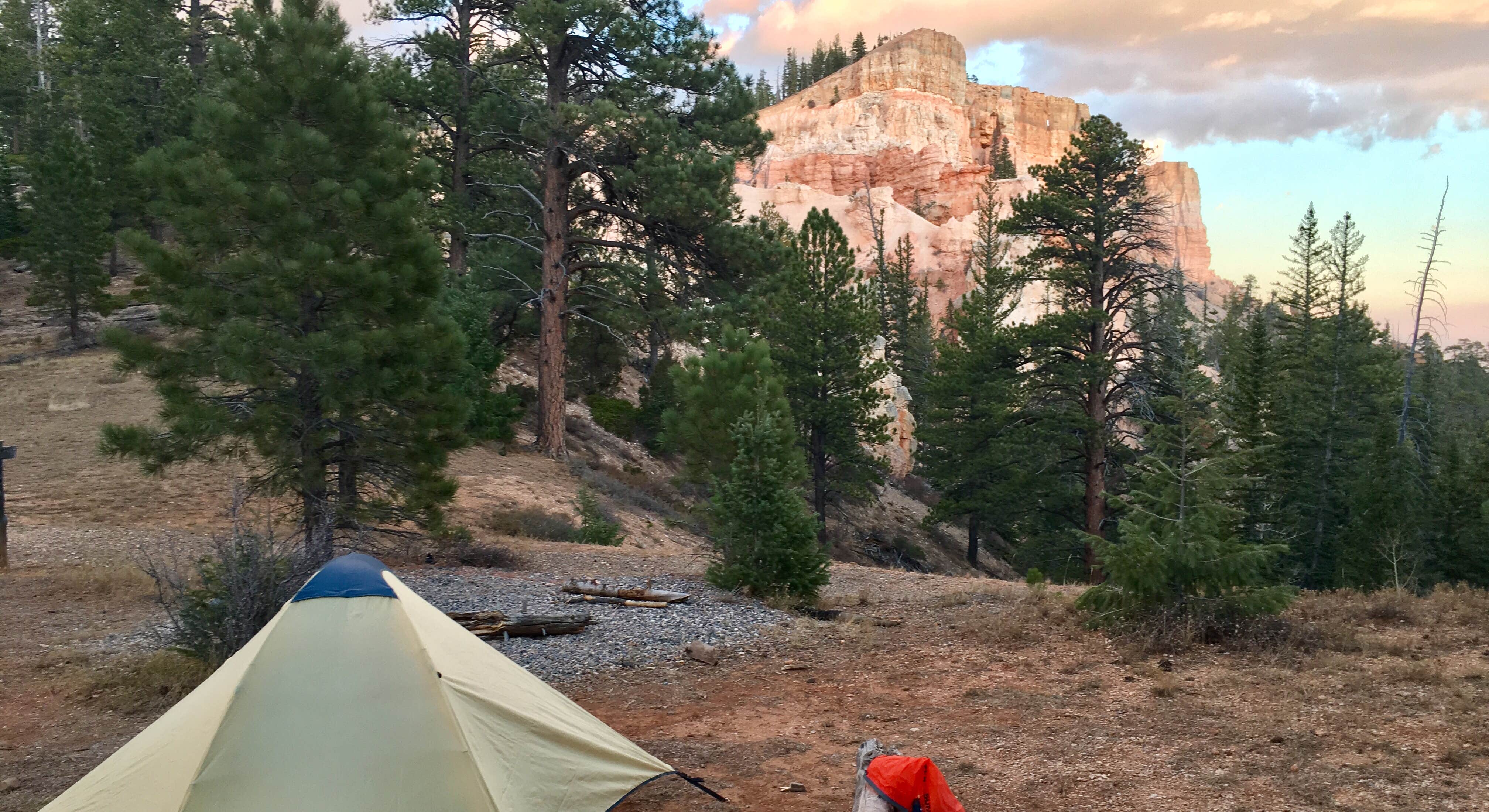 Tent Camping at Yovimpa Pass Campsite in Yosemite