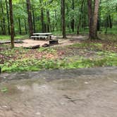 Review photo of Mammoth Cave Campground — Mammoth Cave National Park by Brittni F., July 1, 2020