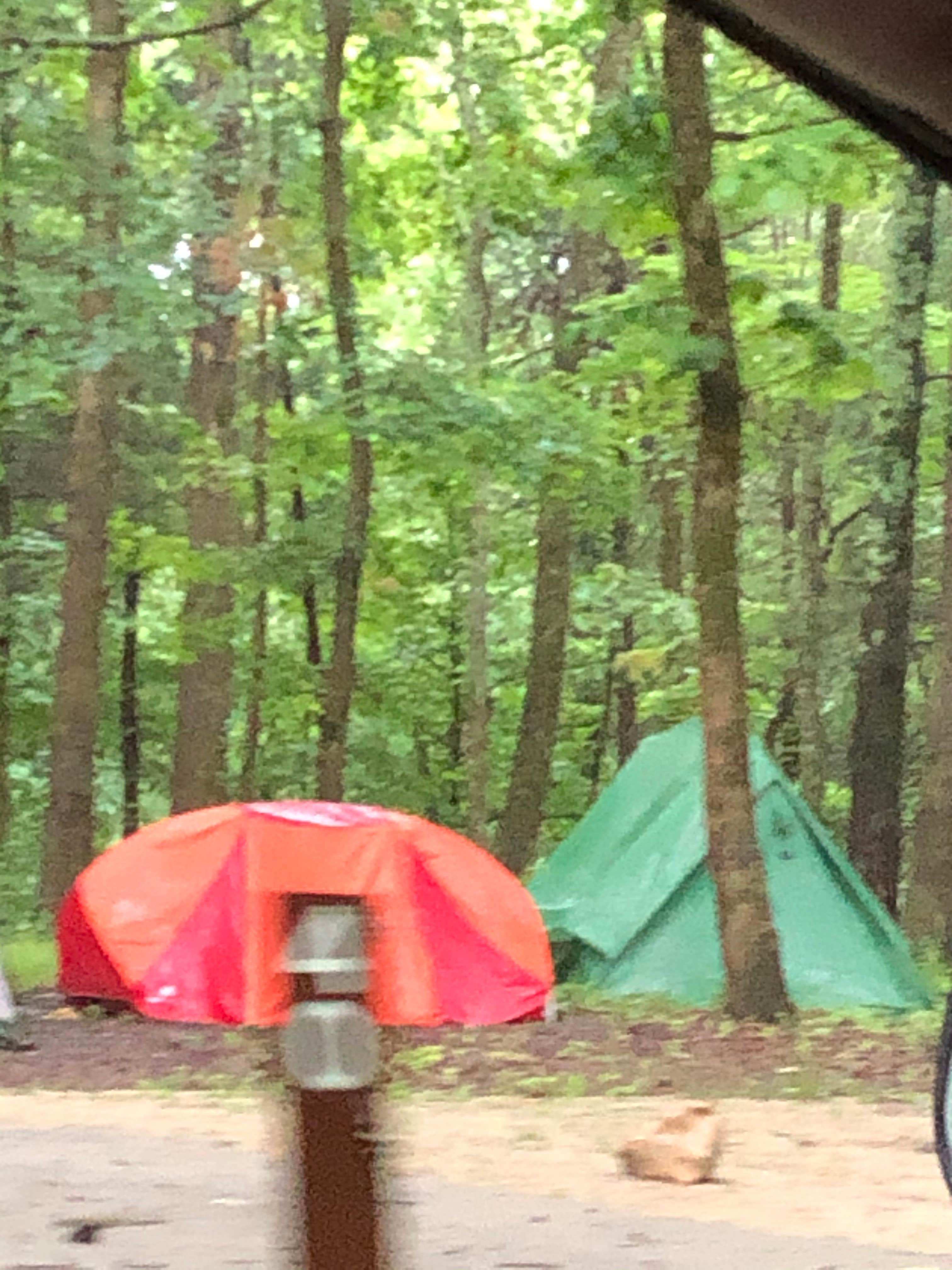 Brittni F.'s photo at Mammoth Cave Campground — Mammoth Cave National Park near Munfordville, KY