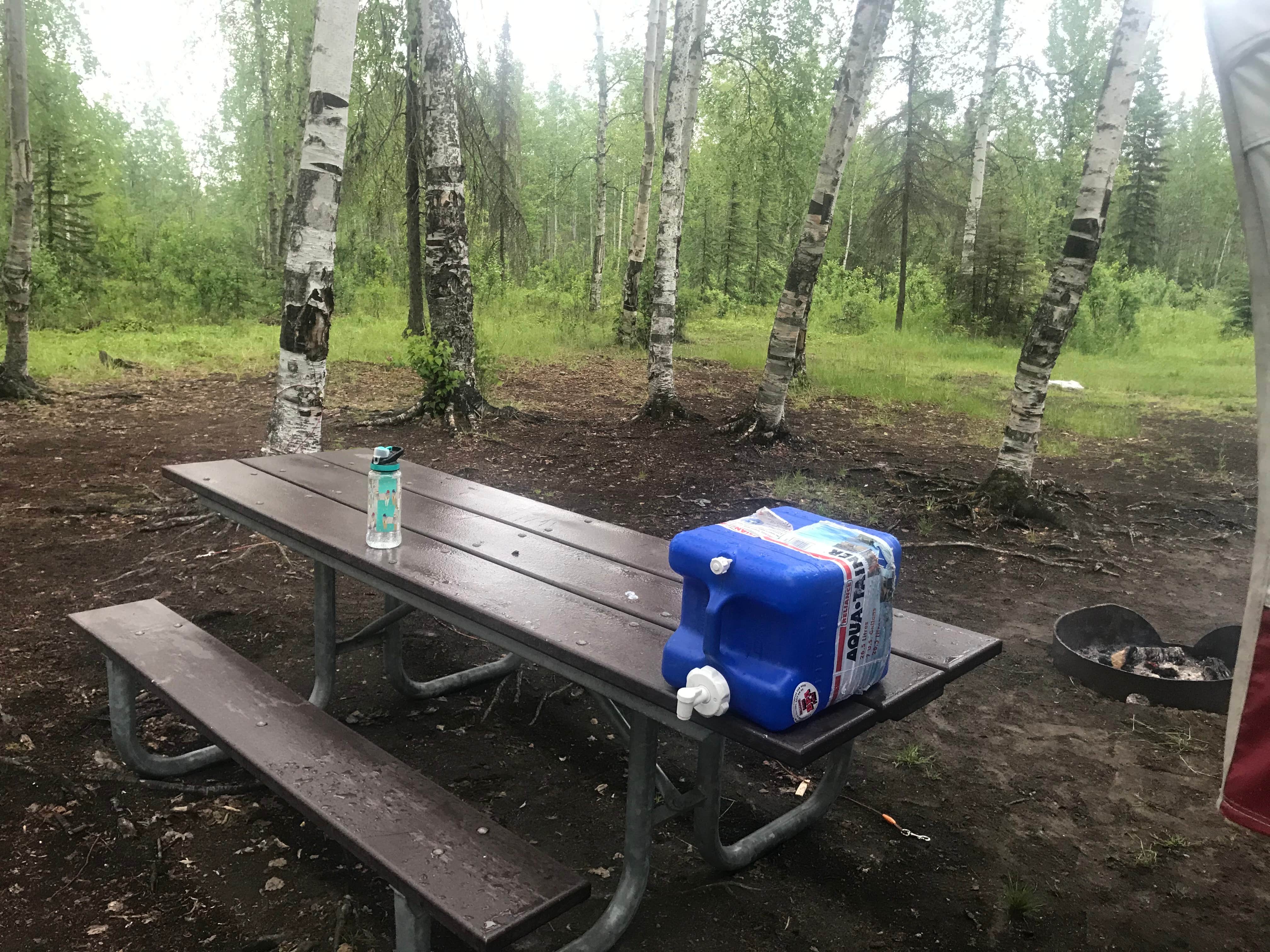 Camping near Mooseberry Cabins: Rocky Lake State Recreation Site, Big Lake, Alaska