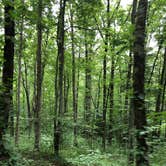 Review photo of Red River Gorge Campground by Brittni F., July 1, 2020