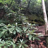 Review photo of Red River Gorge Campground by Brittni F., July 1, 2020