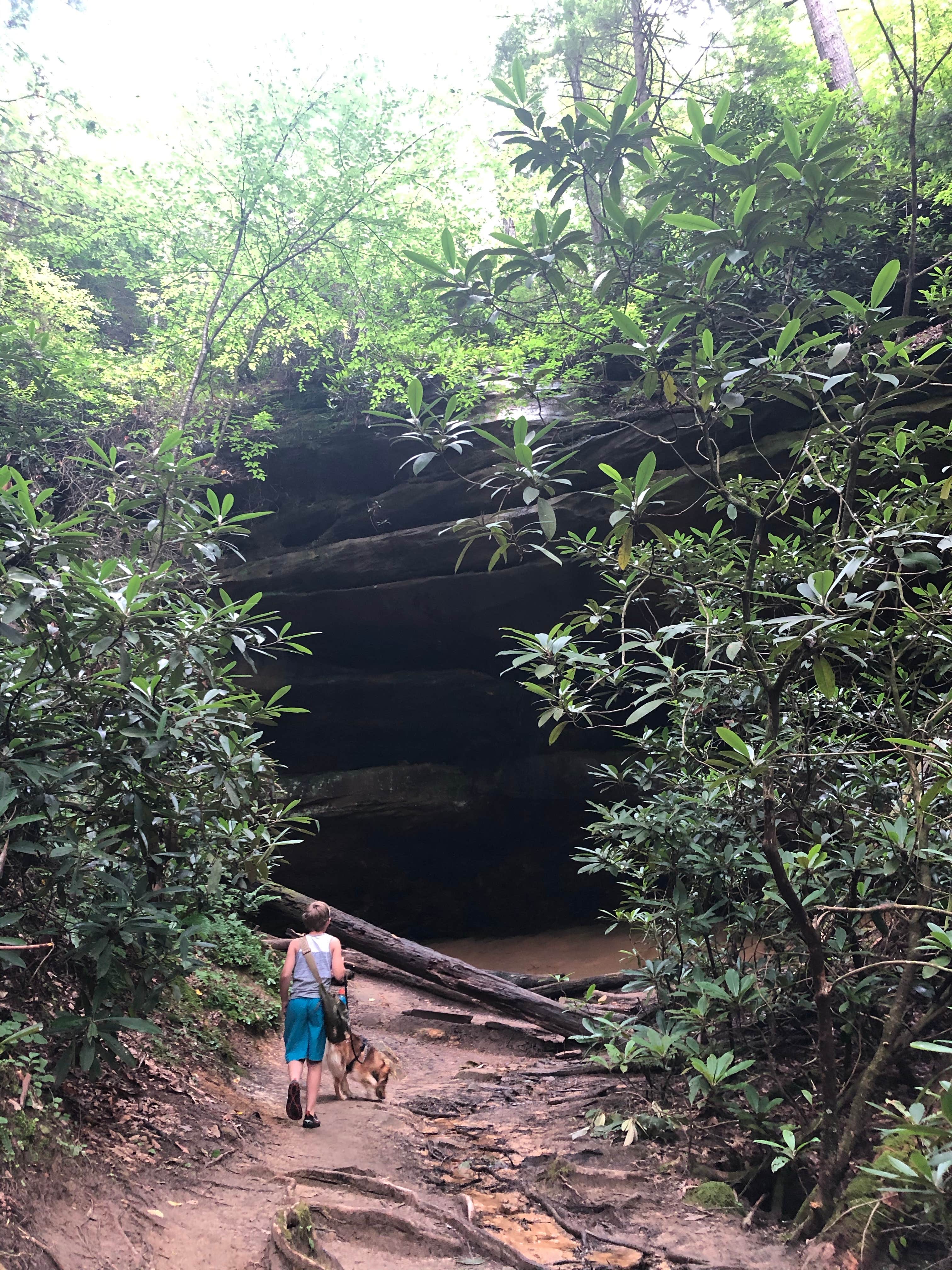 Brittni F.'s photo of camping with pets at Red River Gorge Campground near Slade, KY