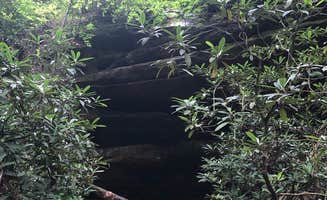 Brittni F.'s photo of camping with pets at Red River Gorge Campground near Slade, KY
